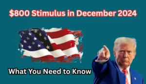 $800 Stimulus in December 2024: What You Should Know